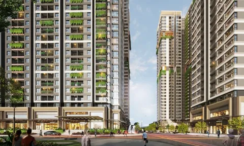 Phát Đạt lập công ty con mới: Tín hiệu tăng tốc phát triển kinh doanh