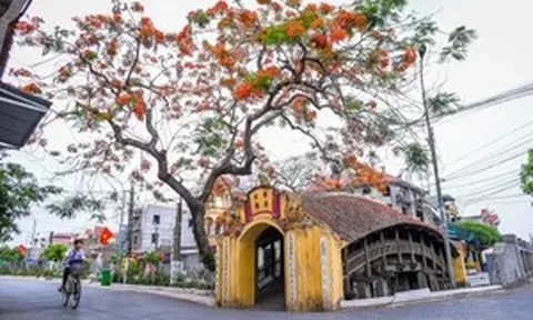 Cầu ngói chợ Lương: Hoài niệm làng Việt giữa dòng thời gian