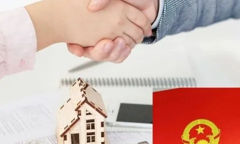 Lấy sổ đỏ của người khác đi thế chấp có bị phạt không?