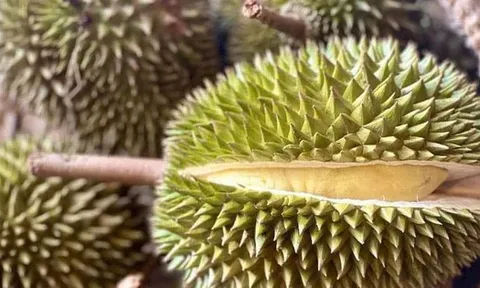 Trung Quốc tiếp tục tăng kiểm tra an toàn thực phẩm, nhất là sầu riêng