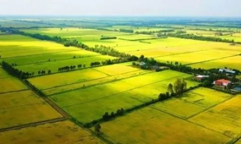 Đề xuất giảm tiền sử dụng đất khi chuyển đổi đất vườn thành đất ở
