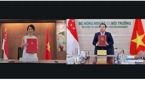 Việt Nam, Singapore hợp tác chặt chẽ trong lĩnh vực thị trường carbon quốc tế