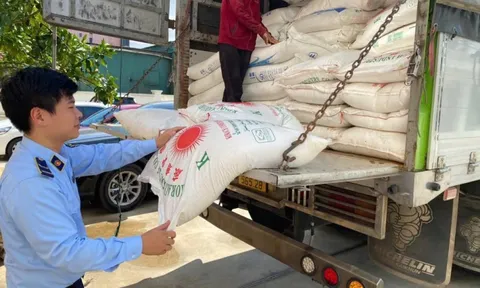 Nghệ An: Phát hiện, tạm giữ 3 tấn đường cát nhập lậu