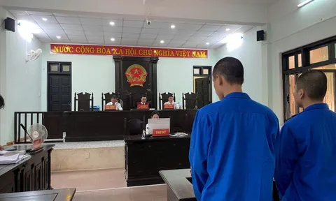 Mua ma túy từ “người lạ” trên mạng xã hội , ông chủ quán nhậu cùng nhân viên lĩnh án