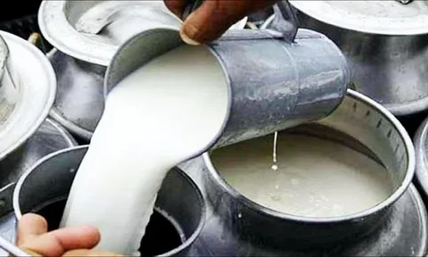 Đột kích một cơ sở lúc 4 giờ sáng, công an triệt phá đường dây sản xuất sữa giả từ nước bẩn, tịch thu loạt túi nhựa, công cụ pha trộn công nghiệp