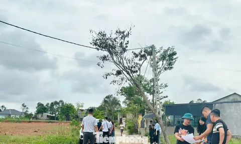 'Thổi giá', gom đất, phân lô bán nền tràn lan sau công bố quy hoạch