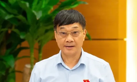 Phó Chủ tịch Quốc hội: 'Anh em rất sợ, từ thái cực này dễ chuyển sang thái cực kia...'