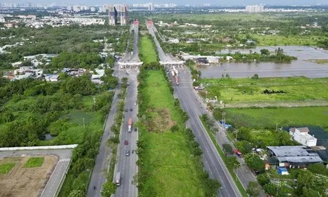 TP HCM: "Làm sạch" dữ liệu trên 5 triệu thửa đất