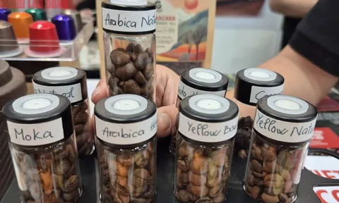 Giá cà phê hôm nay 24-9: Giảm rất mạnh