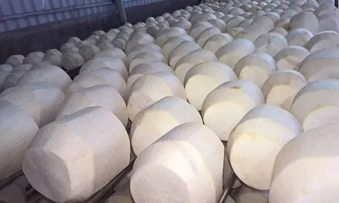 Vượt Trung Quốc, Mỹ chi hơn 2.100 tỷ để nhập một “sản vật” của Việt Nam, hơn 40 quốc gia cũng đặt hàng