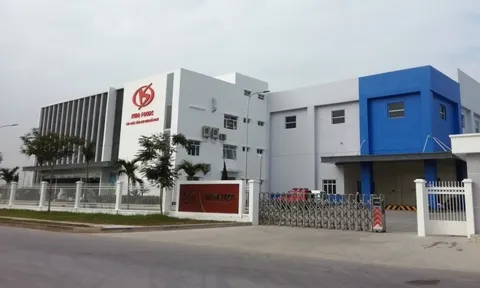 Phó Tổng KIDO Group đăng ký bán gần nửa triệu cổ phiếu