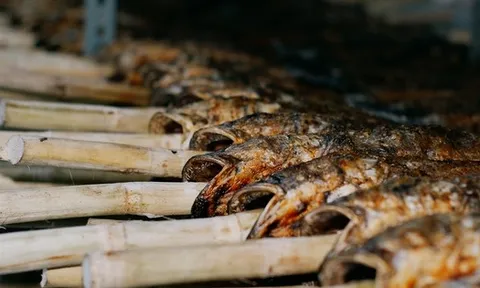 'Kho báu' dưới nước giúp Việt Nam thành ông trùm số 1 thế giới: chất lượng vừa rẻ vừa ngon, chỉ Việt Nam tạo nên ngành công nghiệp tỷ đô