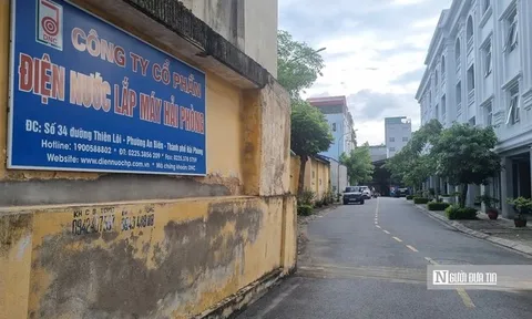 Điện nước lắp máy Hải Phòng bổ sung nhân sự lãnh đạo cấp cao