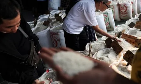 Buồn của quốc gia Đông Nam Á là 'khách ruột' của gạo Việt: Người dân bàng hoàng vì giá đắt đỏ, nguồn cung gạo chất lượng cao khan hiếm