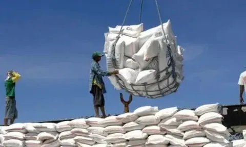 Ấn Độ siết lại xuất khẩu gạo