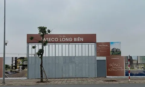 Taseco Land có gì khiến nhà đầu tư ngoại xuống tiền?