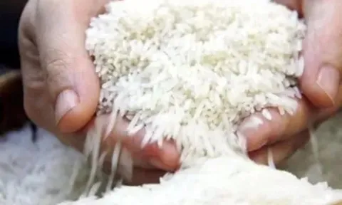 Giá gạo xuất khẩu của Thái Lan giảm xuống mức thấp nhất trong gần 9 năm