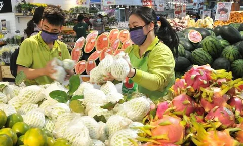 Xuất khẩu rau quả: Bứt tốc sau giai đoạn chững lại, hướng đến mốc kỷ lục mới