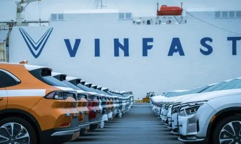 Nóng: VinFast hỗ trợ 500.000 đồng, miễn phí kiếm tra cho xe bị ngập do bão Bualoi