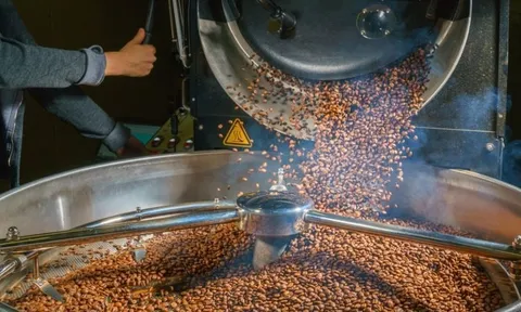 Một mặt hàng của Việt Nam lập kỷ lục thu về gần 7 tỷ USD, hơn 80 quốc gia ồ ạt chốt đơn