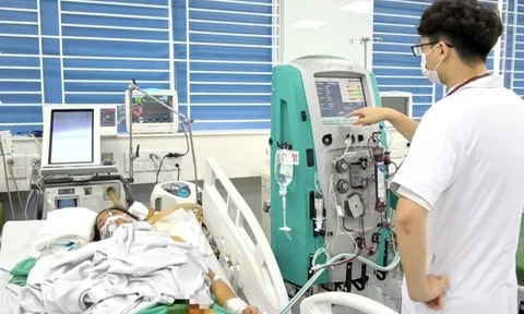 Nữ công nhân nguy kịch vì nhiễm xoắn khuẩn vàng da sau mưa lũ