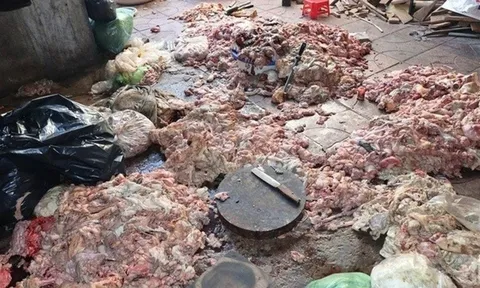 Hãi hùng cảnh mỡ động vật bẩn chất đống dưới nền nhà nhếch nhác, chuẩn bị chế biến tuồn ra thị trường ở Nghệ An