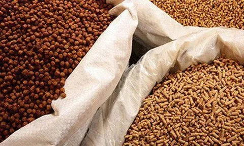 Một mỏ vàng mới nổi của Việt Nam được Campuchia tích cực săn lùng: là cứu tinh cho chăn nuôi, nước ta đứng thứ 8 thế giới về sản lượng