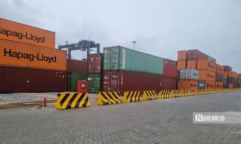 Gần 14 triệu cổ phiếu niêm yết bổ sung của Dịch vụ biển Tân Cảng sắp chào sàn