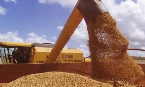 Trung Quốc dừng nhập khẩu đậu tương, nông dân Mỹ vẫn trúng lớn do ồ ạt trồng loại nông sản thay thế: Đã ký hợp đồng xuất khẩu 20 triệu tấn, nhu cầu tăng mạnh tại Đông Nam Á