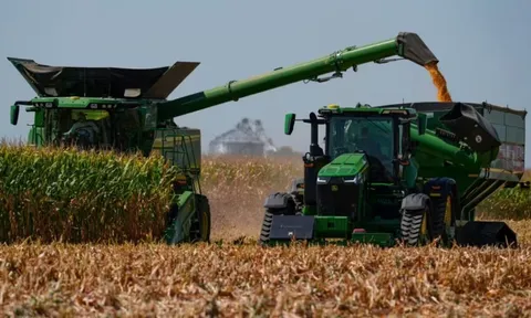 'Nhờ' Việt Nam và Trung Quốc nhưng theo 2 cách hoàn toàn khác nhau, xuất khẩu một mặt hàng nguyên liệu quan trọng của Mỹ sắp lập kỷ lục năm thứ 2 liên tiếp