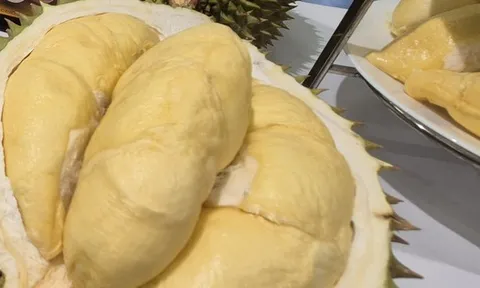 Giá sầu riêng hôm nay 6-10: Tăng mạnh trên diện rộng, cung không đủ cầu