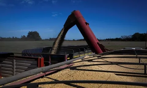 Trung Quốc ngừng mua đậu tương Mỹ, một ông trùm nông sản lập tức giảm thuế để ‘chào hàng’, đặt mục tiêu xuất khẩu 7 tỷ USD