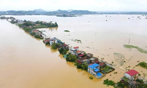 Chống tràn khẩn cấp tuyến đê Hà Châu