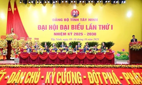 Tây Ninh hướng tới "3 khâu đột phá, 4 nhóm giải pháp trọng tâm" cho phát triển kinh tế