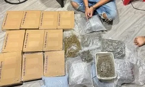 Triệt phá đường dây mua bán trái phép 'bánh, kẹo cần sa' trên không gian mạng