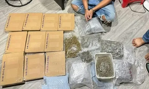 Triệt phá đường dây mua bán trái phép chất ma túy trên không gian mạng