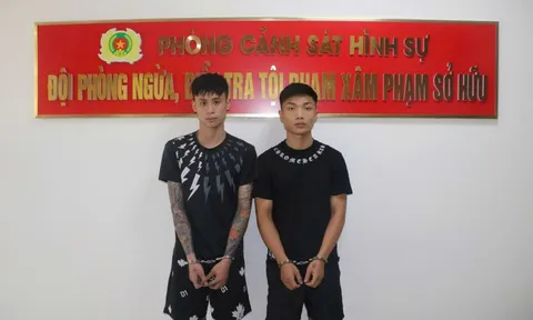Hải Phòng: Bắt giữ 2 đối tượng gây ra hàng loạt vụ cướp giật