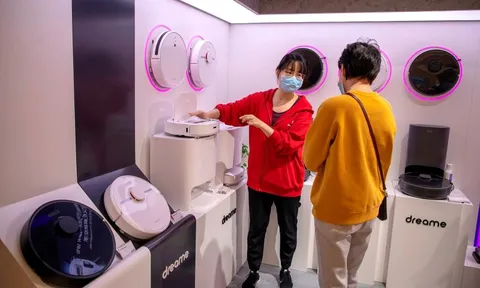Từng bị coi là "thứ khoe mẽ, bẩn nhà", món đồ này giờ có giá rẻ đến bất ngờ: Người Việt mua ngày càng nhiều