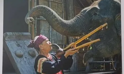 Khánh Hoà đăng cai triển lãm ảnh tôn vinh bản sắc văn hóa các dân tộc Việt Nam