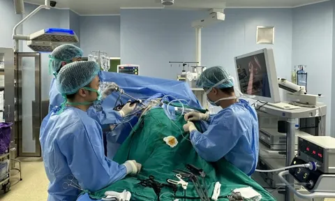 Lần đầu phẫu thuật thành công khối phình khổng lồ động mạch thận có ghép thận tự thân