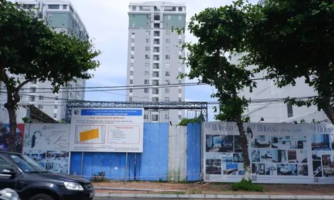 Đà Nẵng giao 'đất vàng' từng liên quan 'Vũ nhôm' cho DN Hà Nội thuê