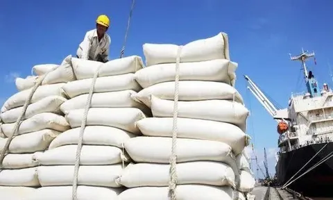 Thị trường gạo châu Á thấp nhất trong nhiều năm
