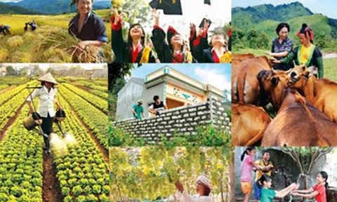 Hợp nhất 3 chương trình mục tiêu quốc gia là cần thiết