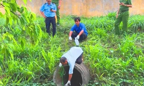 Xả nước thải ô nhiễm ra môi trường, một công ty bị phạt hơn 340 triệu đồng