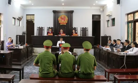 Miễn trách nhiệm hình sự cho người nuôi, bán gà lôi trắng