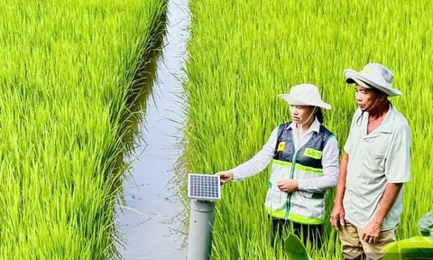 Chuẩn hóa hệ thống khuyến nông theo mô hình tinh gọn, liên thông, thống nhất