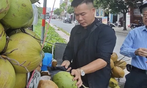 Xuất khẩu dừa tươi nhìn từ bài học sầu riêng, thanh long