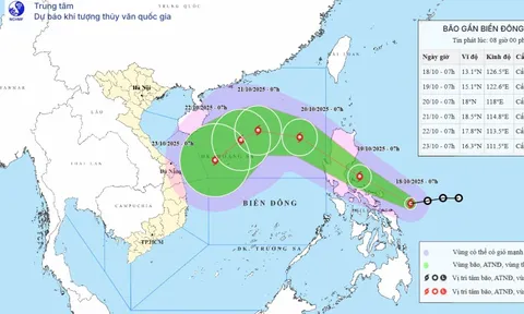Dự báo các kịch bản tác động của bão số 12