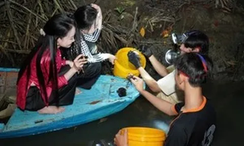 Đặc sắc ba khía muối Cà Mau