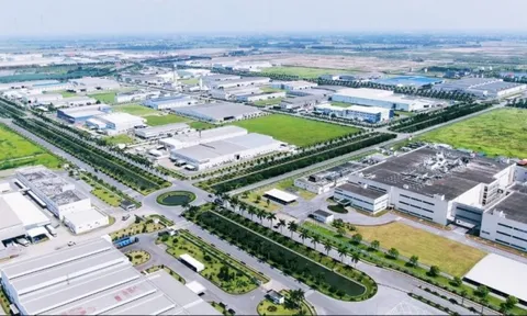 Nhà đầu tư Singapore muốn làm dự án KCN dược - sinh học và năng lượng tái tạo 100 ha tại Hưng Yên